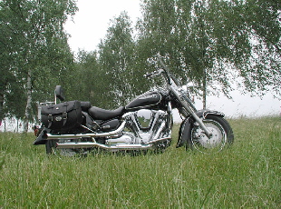 XV 1600 Wildstar