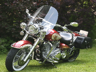 XV 1600 Wildstar