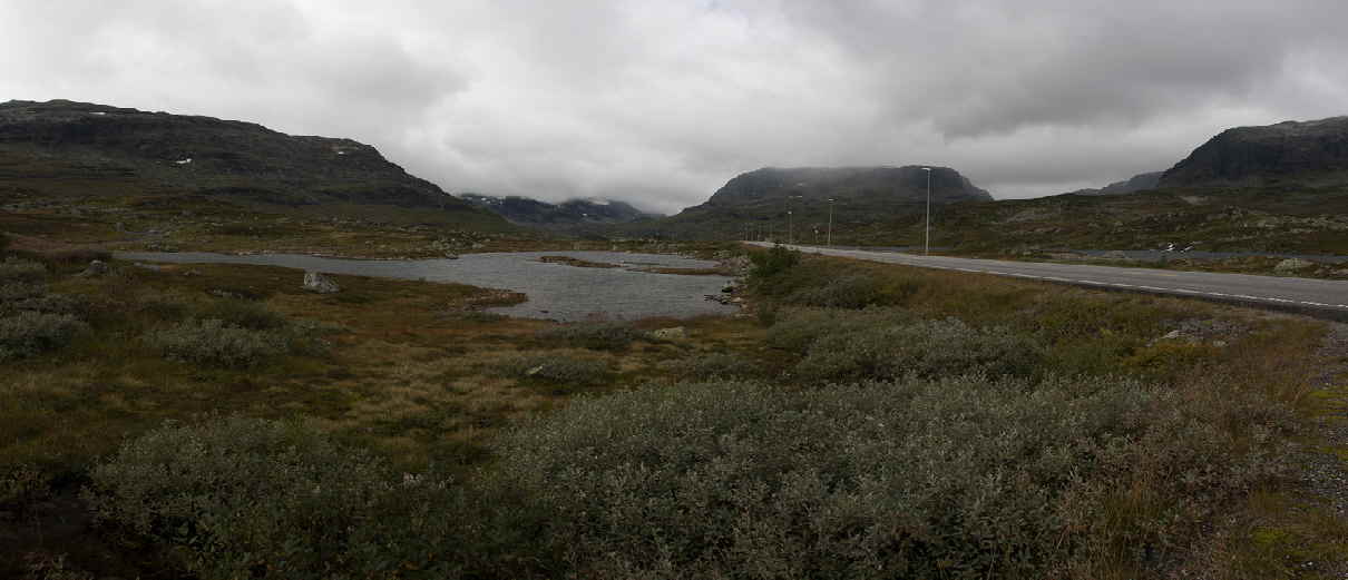 20110830_133116_202_Pano_2