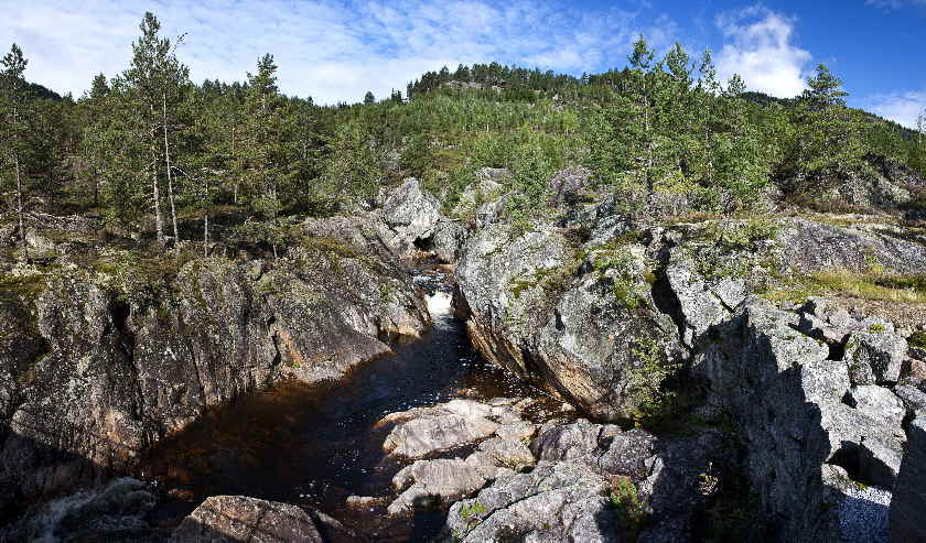 NorS2_0141